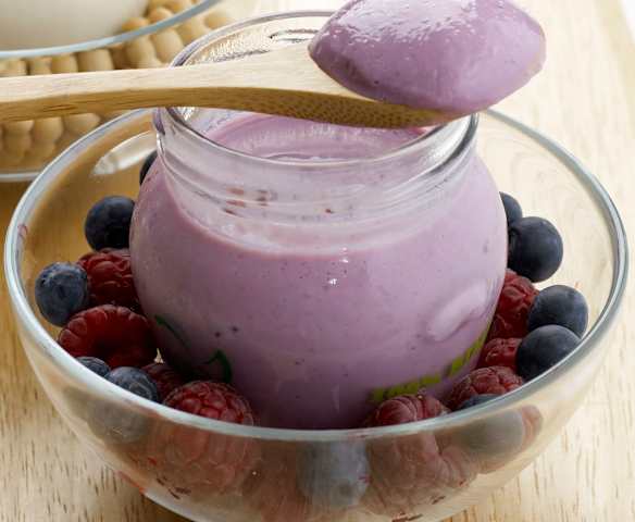 Iogurte de soja com frutos silvestres