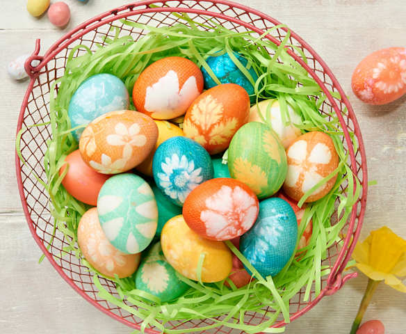Colored Eggs