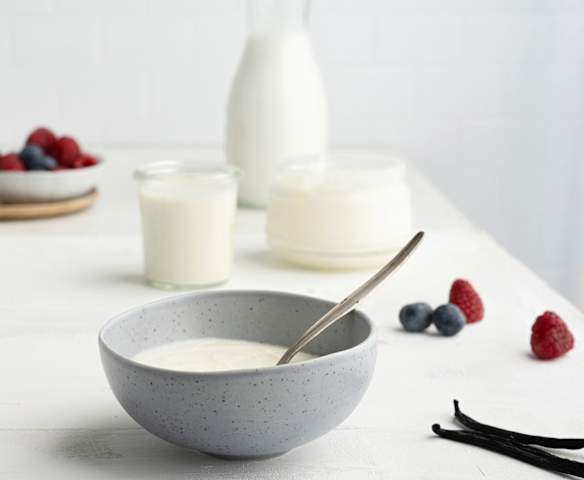 Iogurte natural com natas