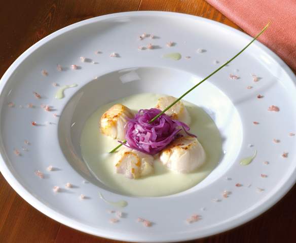 Capesante su purea di sedano rapa con verza croccante