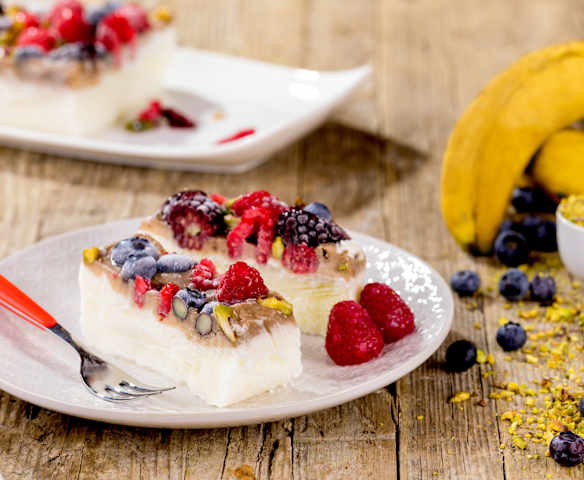 Mattonelle di frozen yogurt ai mirtilli