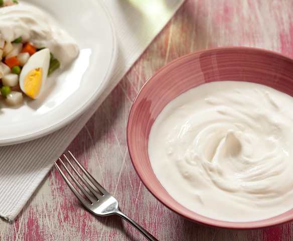 Lactonesa (mayonesa sin huevo)