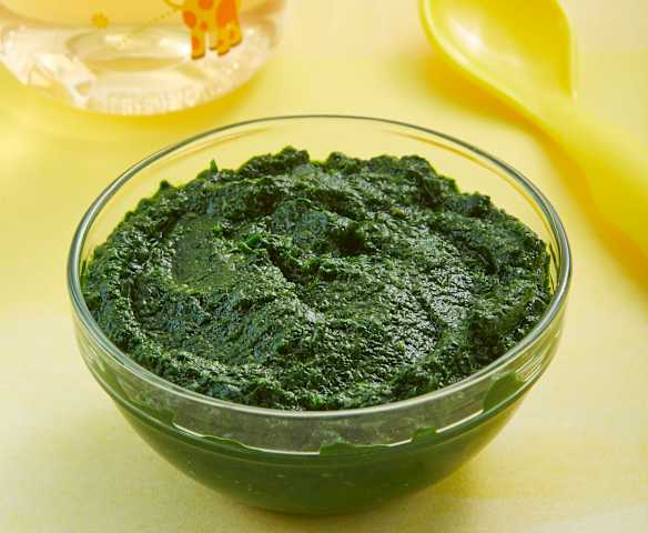 Papilla de espinaca