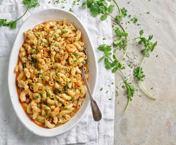 Massinha de camarão e amêijoas