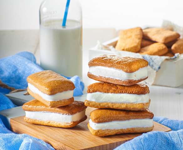 Biscotto gelato miele e yogurt