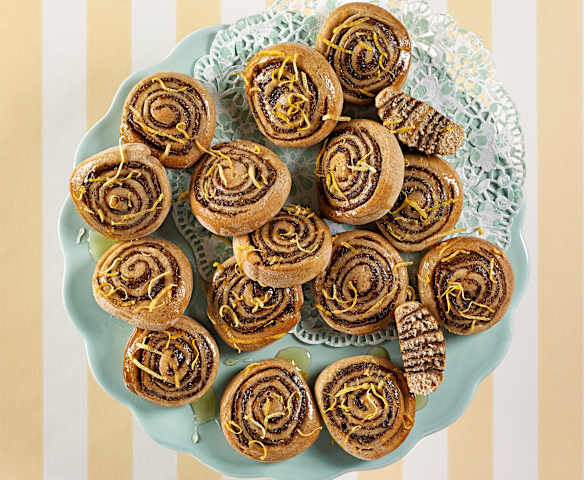 Käferbohnenschnecken