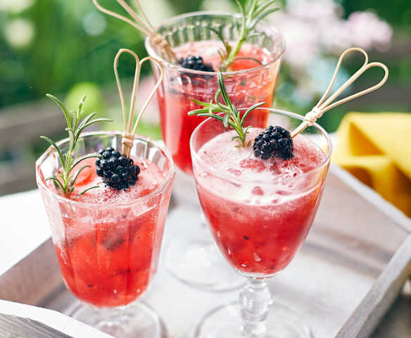 Beeren-Gin-Tonic-Bowle