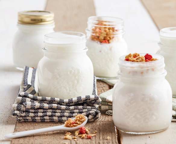 Yogurt naturale (con fermenti per yogurt) Yogurt naturale (con fermenti per yogurt)