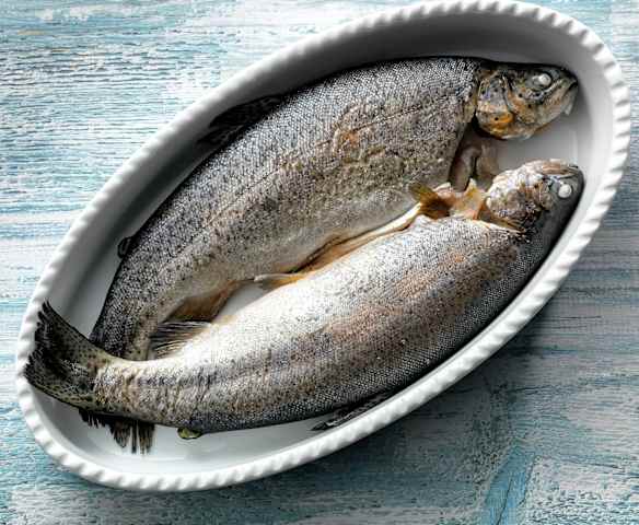 Steamed Trout