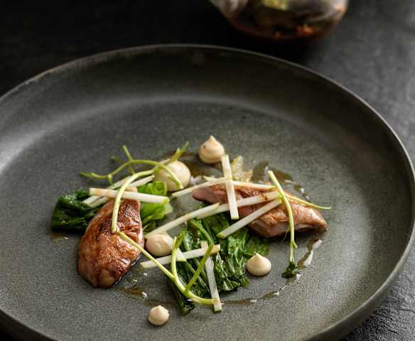 Steamed Seared Quail, Celeriac Tea, Celeriac and Apple