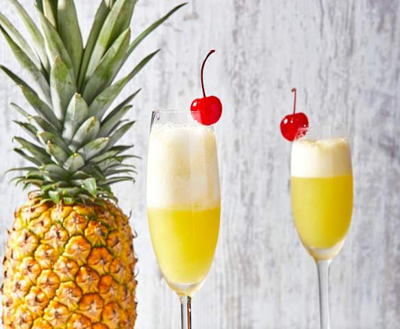 Tropical Mimosa