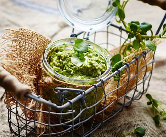 Pesto de cresson, noix et comté