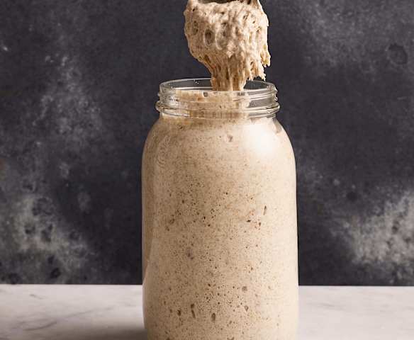 Mother sourdough starter