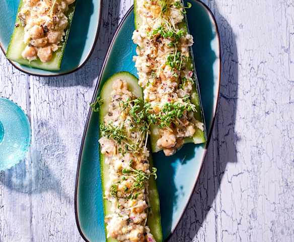 Gurken-ThunVisch-Schiffchen