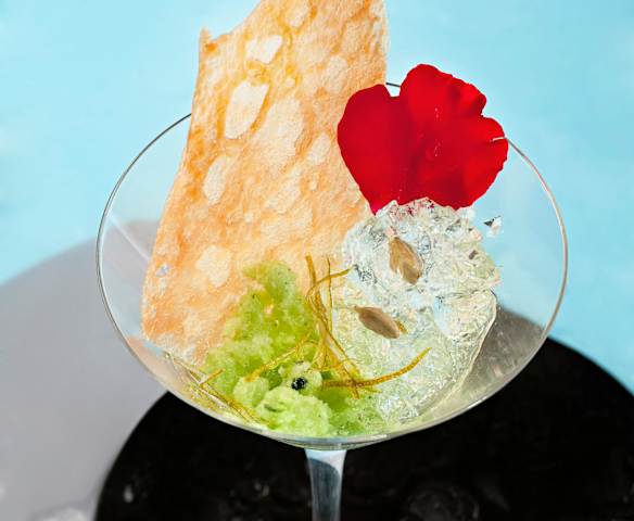 Texturas de gin-tonic