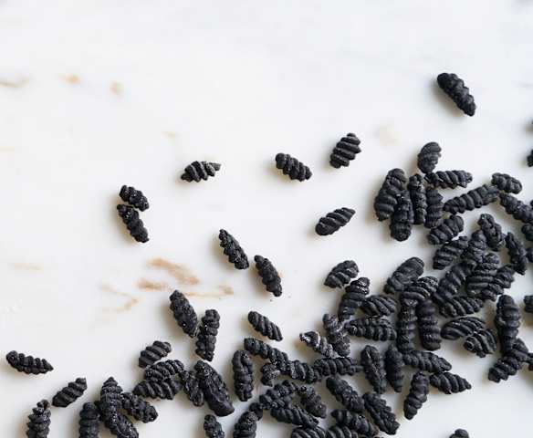 Massa de tinta de choco