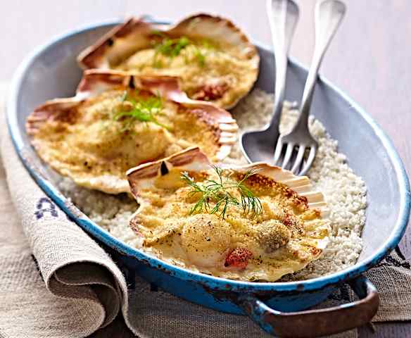 Coquille Saint-Jacques gratinée