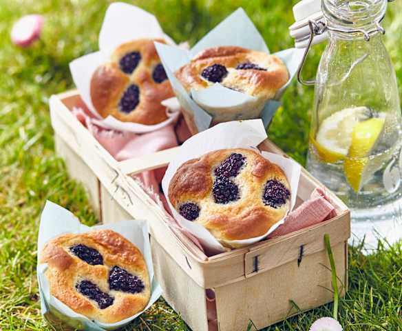 Brombeermuffins Brombeermuffins