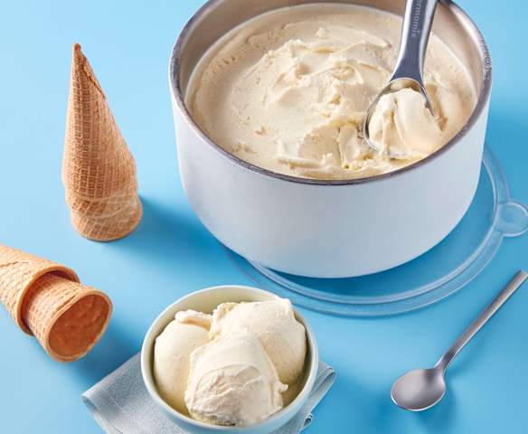Double Vanilla Ice Cream Double Vanilla Ice Cream