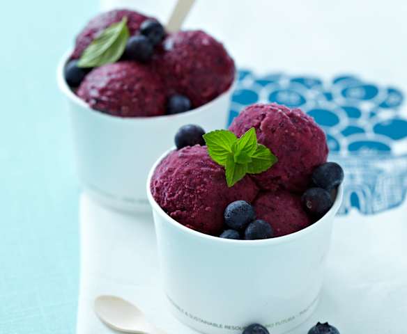 Blueberry Frozen Yoghurt