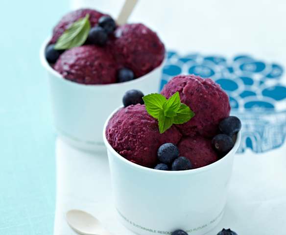 Blueberry Frozen Yoghurt Blueberry Frozen Yoghurt