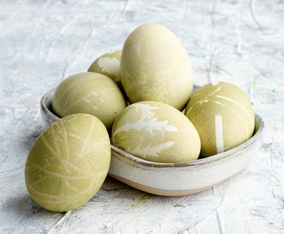 Œufs de couleur verte