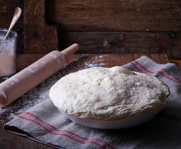 Masa madre (levadura natural) Masa madre (levadura natural)