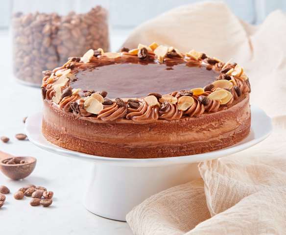 Pastel moka TM6 (Black Diamond)