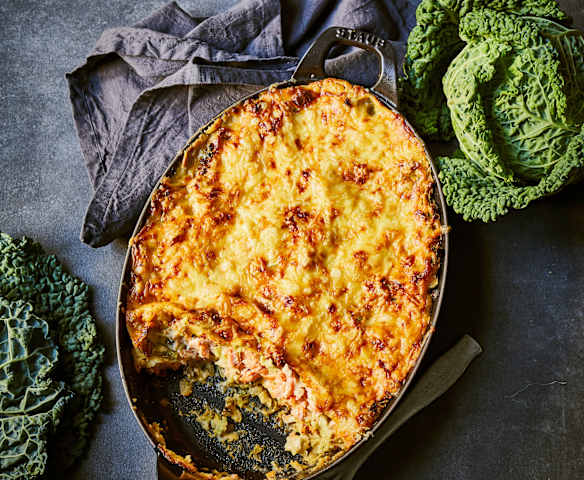 Wirsing-Lachs-Lasagne