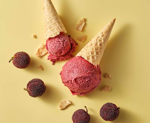 杨梅冰激凌