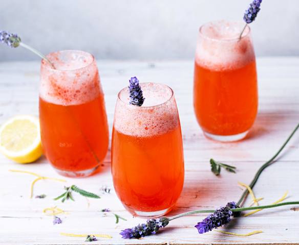 Mimosa rosa