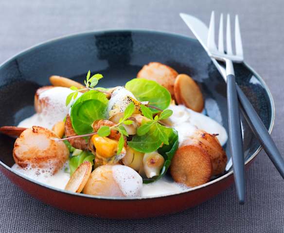 Saint-jacques à la dieppoise - Laurent Clément