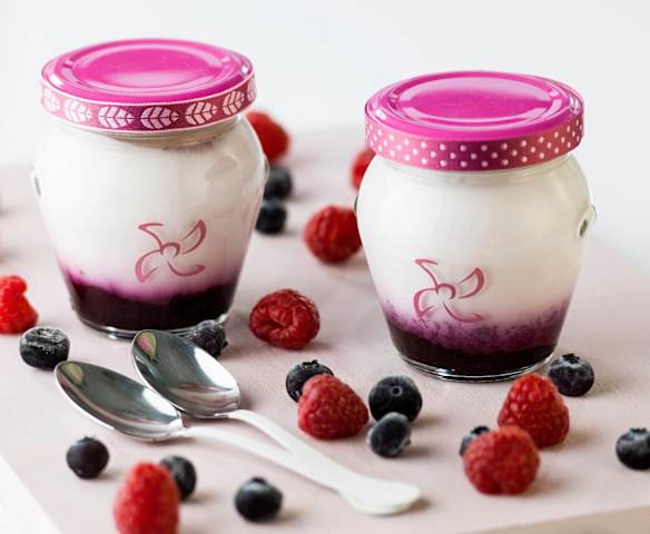 Yaourt aux fruits rouges (nouvelle recette)