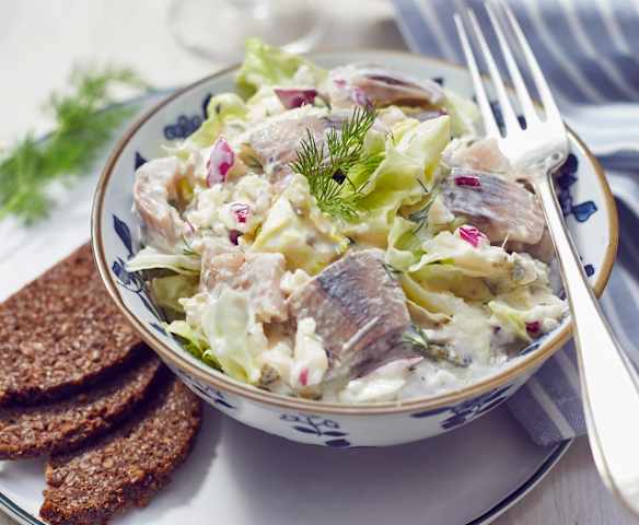 Matjes-Apfel-Ragout mit Eisbergsalat