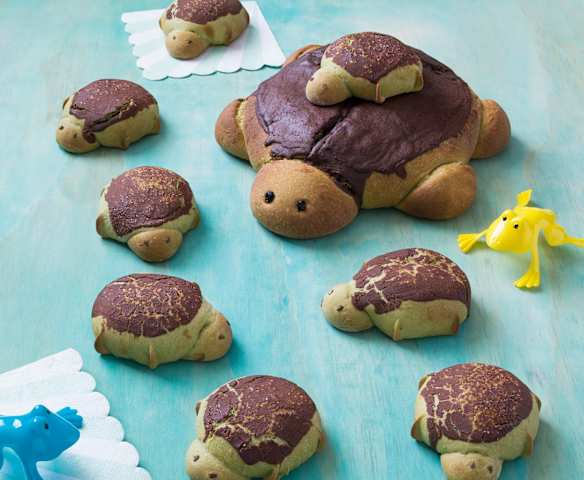 Crunchy turtles