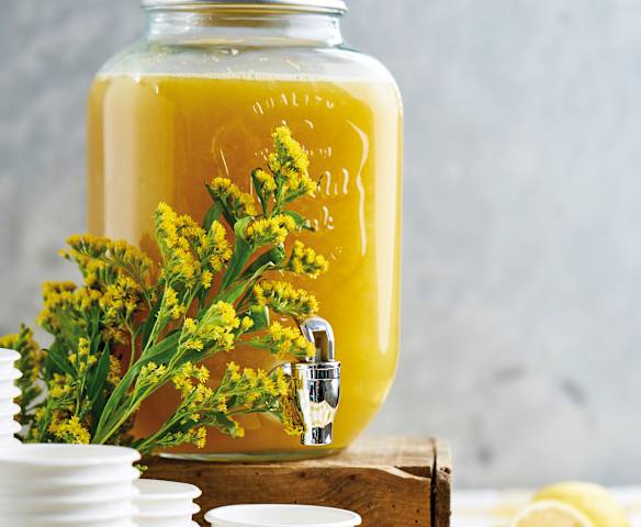 Refresco de chá verde, manga e limão