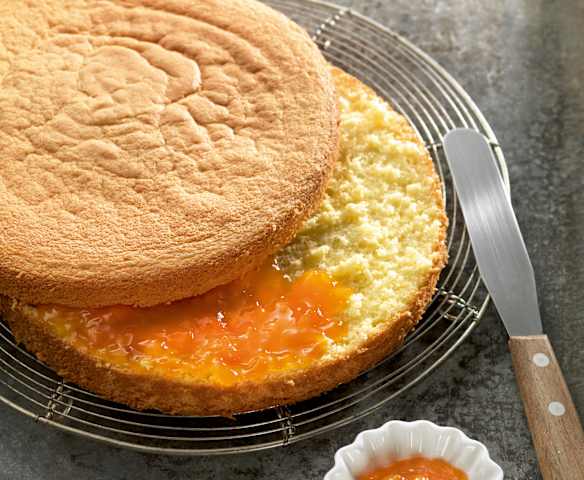 Sponge Cake Sponge Cake