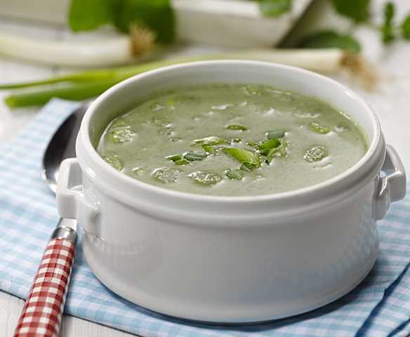 Polévka z mladých kopřiv