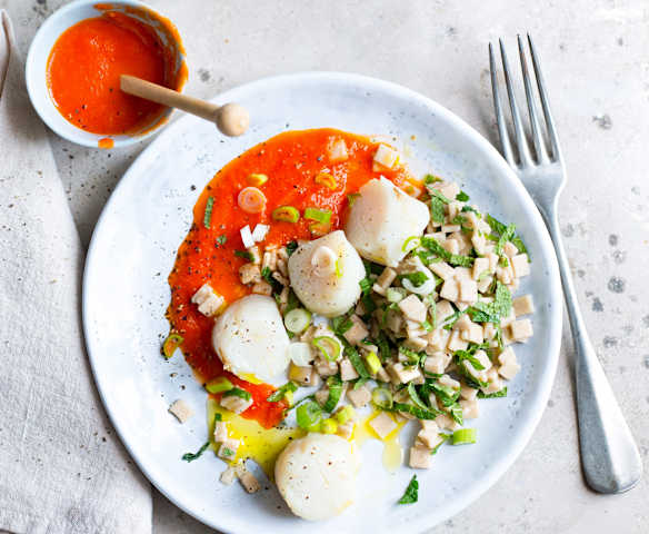 Saint-Jacques, crozets, menthe et sauce tomate