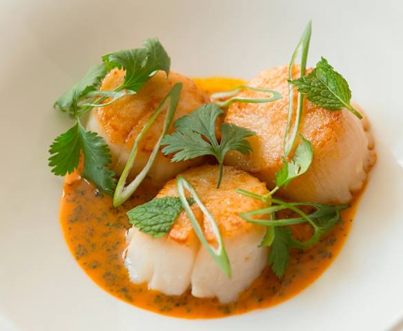 Seared Scallops with Carrot and Ginger Sauce (Hestan Cue™)