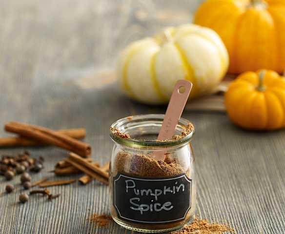 Pumpkin Spice Mix