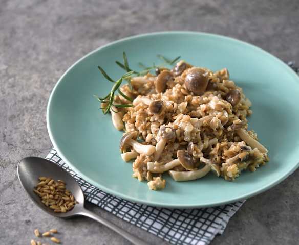 白醬野菇燕麥燉飯