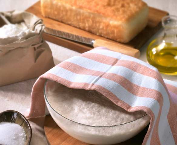 Pasta per pane veloce (senza glutine)