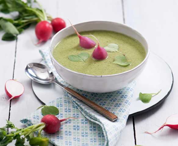 Zupa krem z liści rzodkiewki z rzodkiewkami na parze