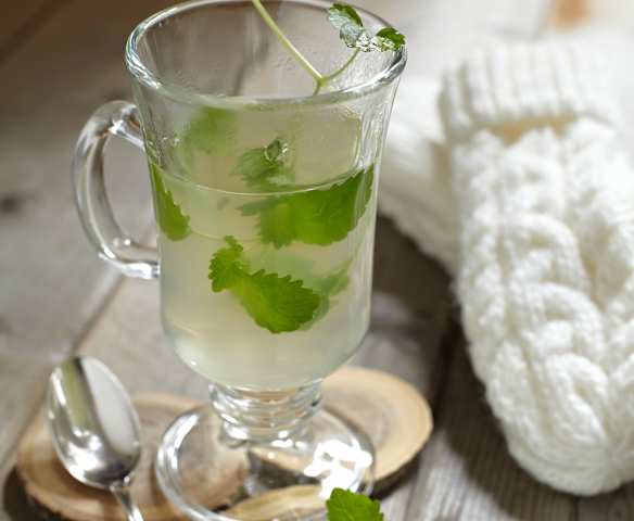 Holunderblüten-Zitronenmelisse-Punsch