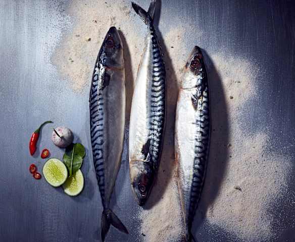 Limettensalz für Fisch