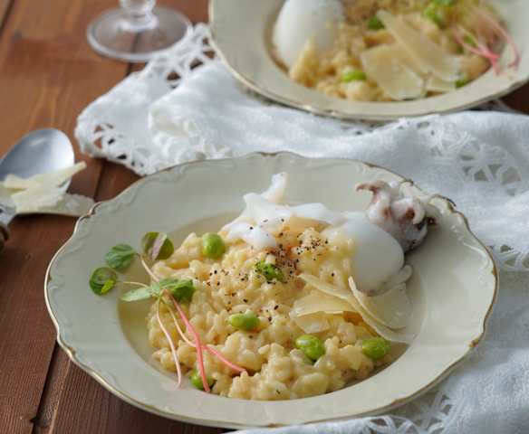 奶油花枝燉飯