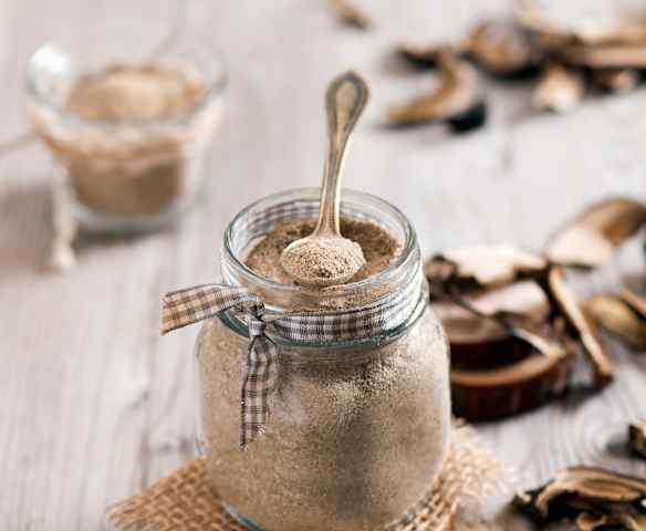 Pilz-Puder