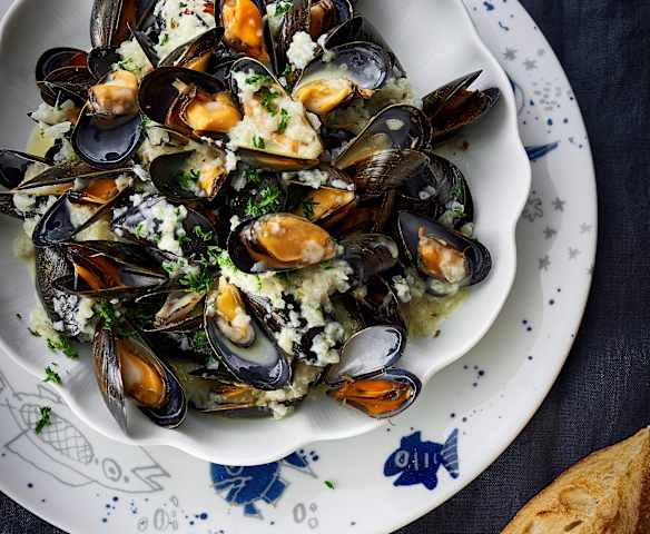 Moules à la crème et au vin blanc Moules à la crème et au vin blanc