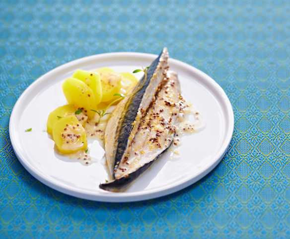 Maquereaux à la moutarde